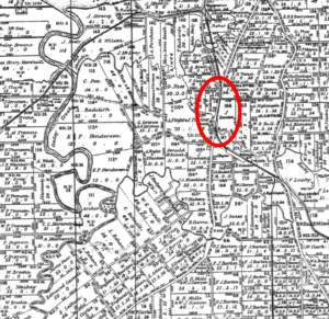 Muriel Avenue Area A. C. 1887 (cad Map 40chn Moreton Ag2 Sh1 1919)